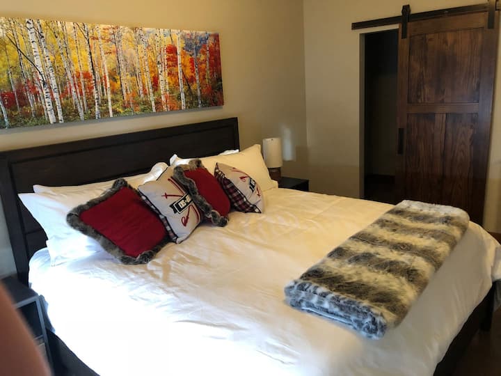 The large master bedroom has a big walk in closet