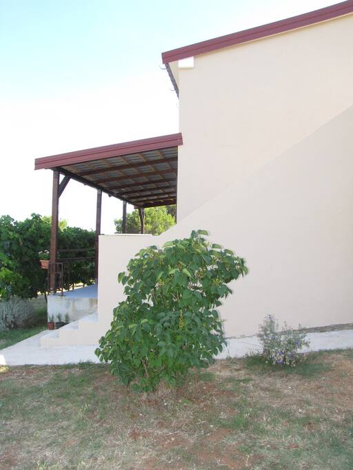 House /Side