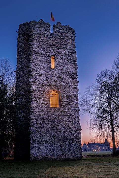 The Castle Tower