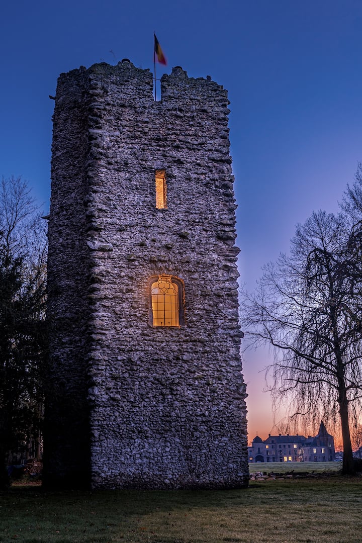 The Castle Tower