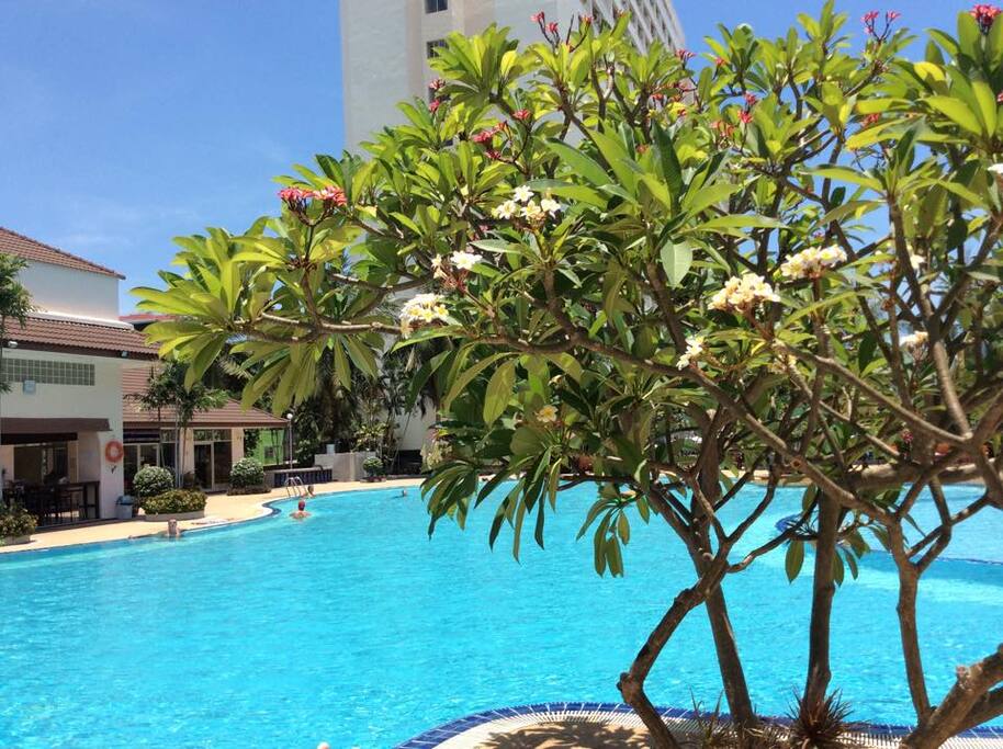 il nostro orgoglio piscina bellissima e pulitissima
