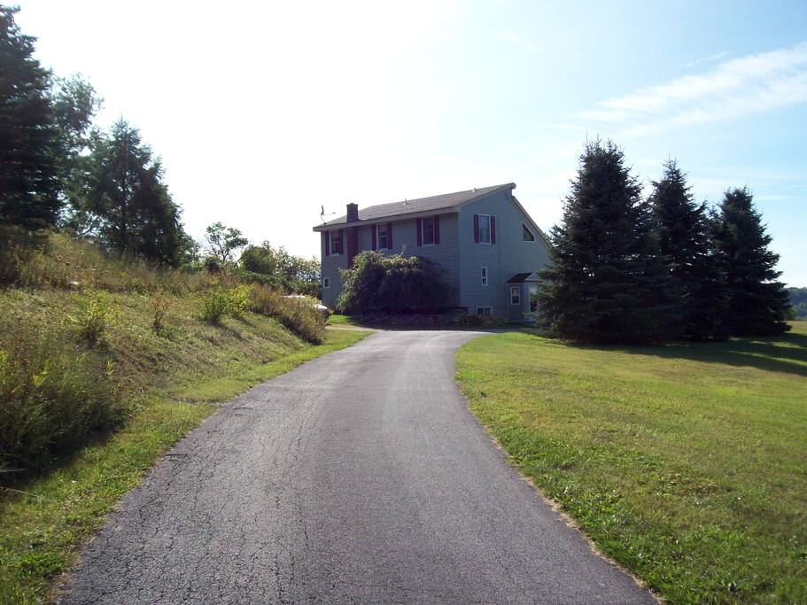 On the Top of Honey Hill