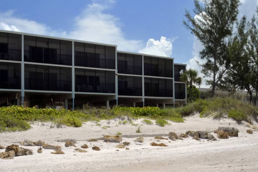 The view from the beach.