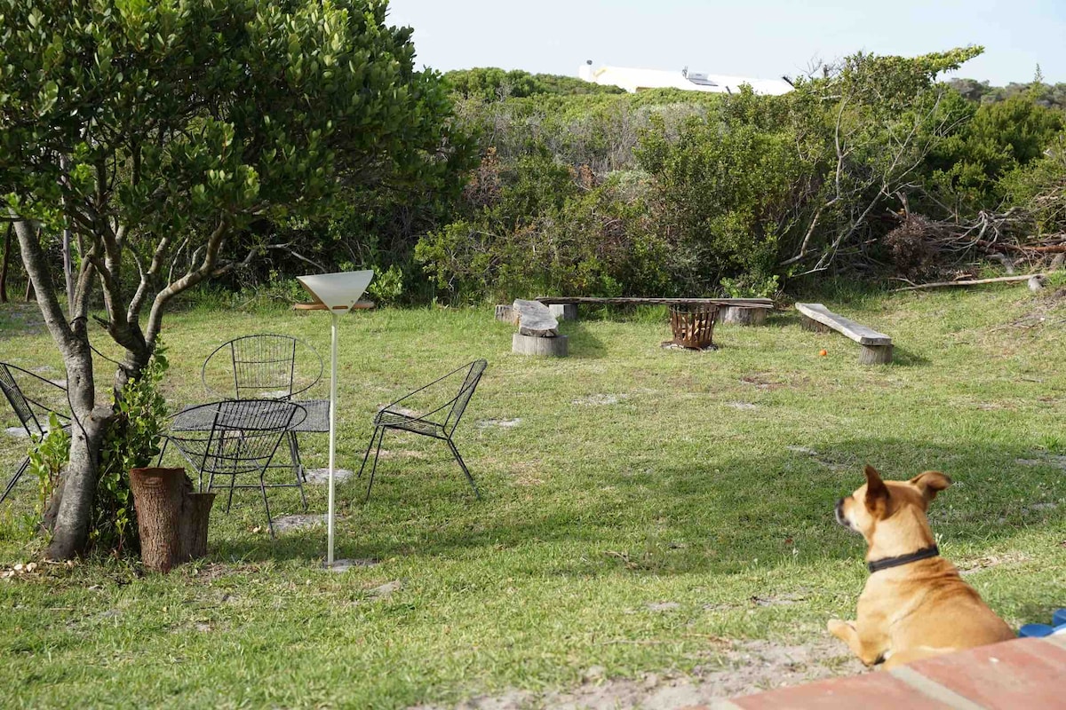 An outdoor space with green grass features a small table and four chairs. A dog sits nearby, looking towards a fire pit surrounded by logs. Lush greenery and shrubbery provide a natural backdrop, enhancing the relaxed atmosphere.