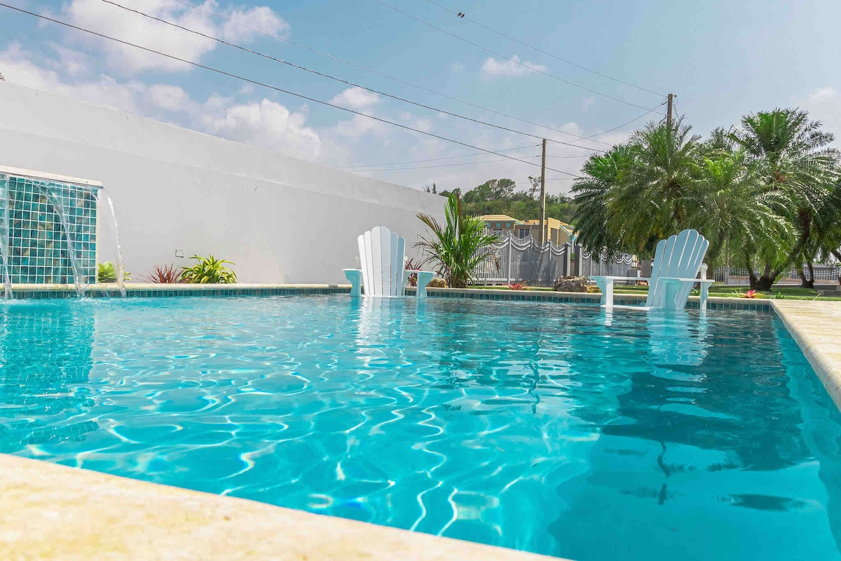 A clear, inviting pool is featured in the backyard, with two white lounge chairs positioned at the water's edge. Lush greenery and palm trees surround the pool area, contributing to a relaxed outdoor ambiance. The sun reflects off the water's surface, enhancing the serene setting.