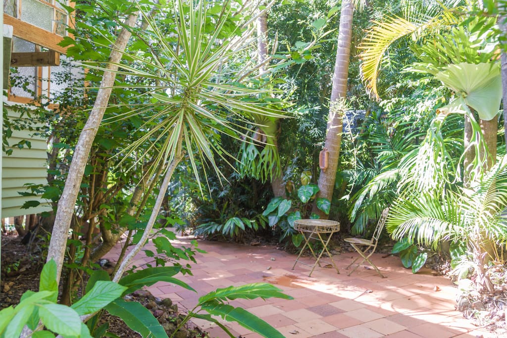 Outside patio area with the Bangalow palms, tree ferns and bromeliads.