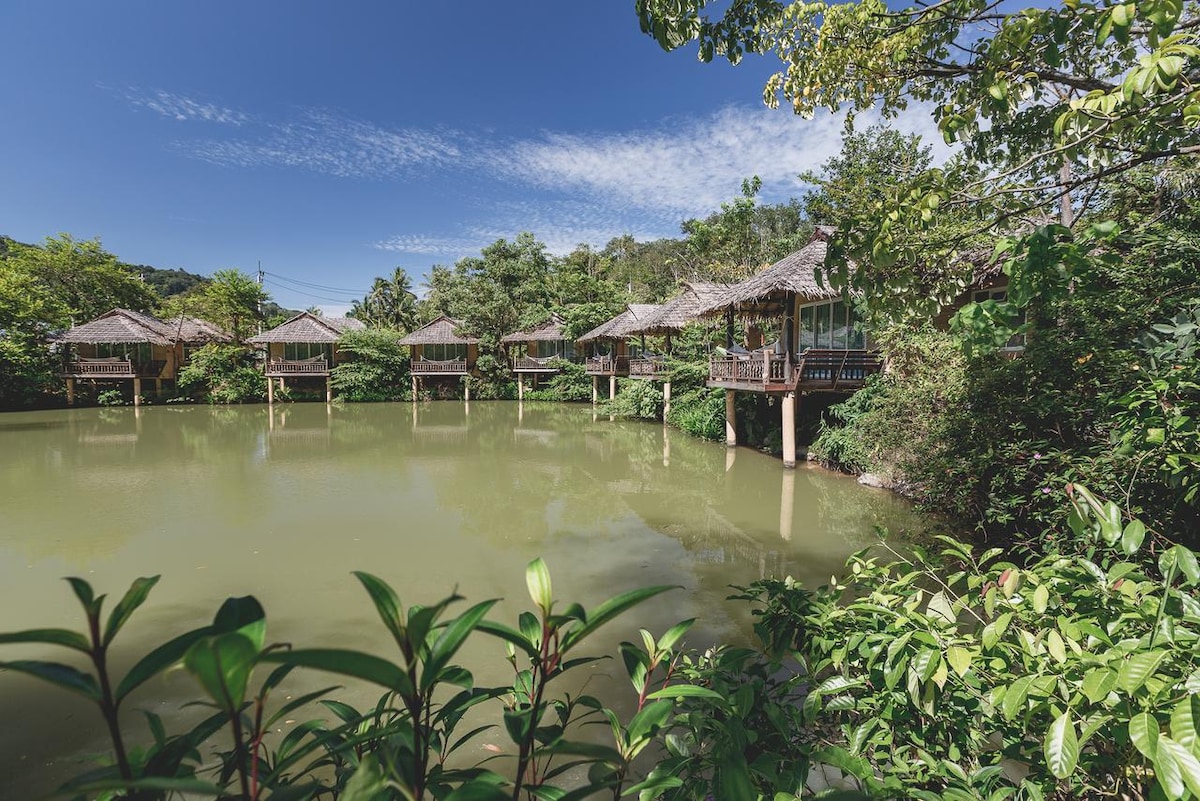 A serene pond is surrounded by lush greenery, with several detached thatched-roof cottages set on stilts above the water. Natural light illuminates the scene under a clear blue sky, creating a peaceful ambiance amidst the tropical foliage.