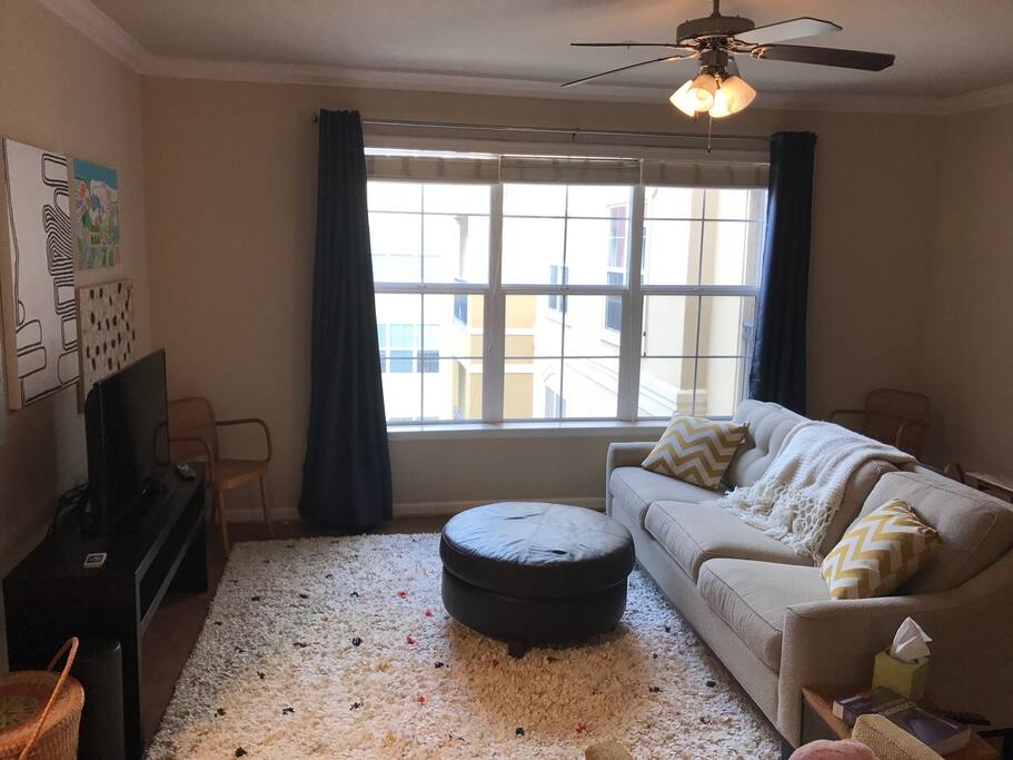 TV, ottoman, and couch that may serve as a pull-out bed.