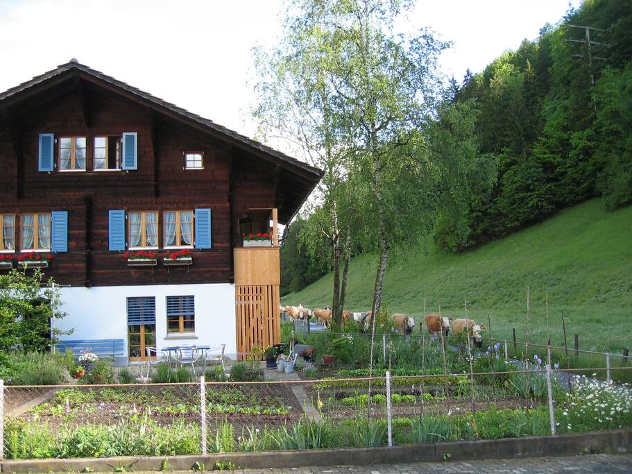 Alpaufzug