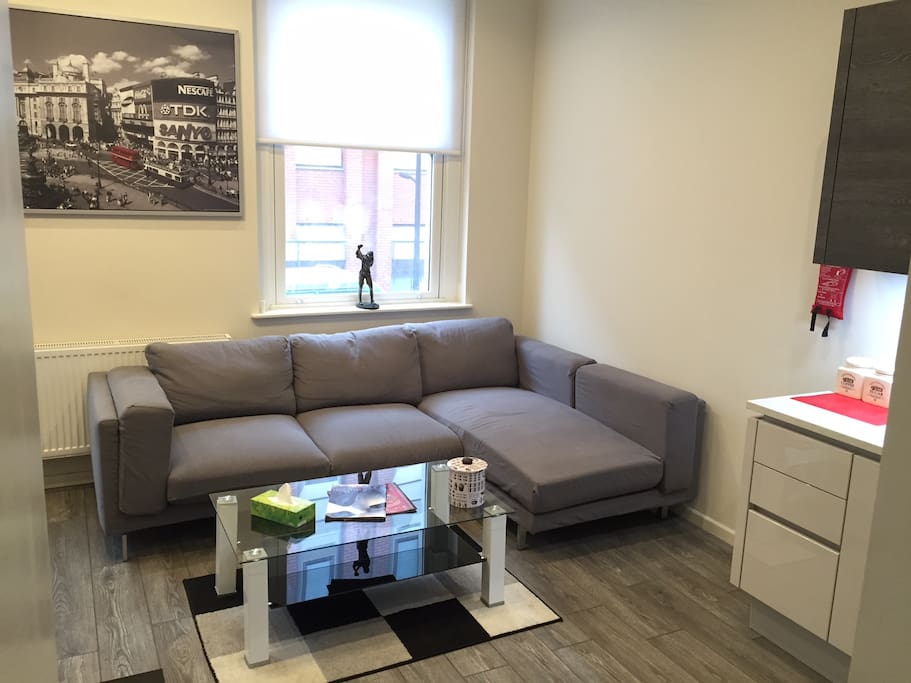 Spacious living room with sofa bed and coffee table.