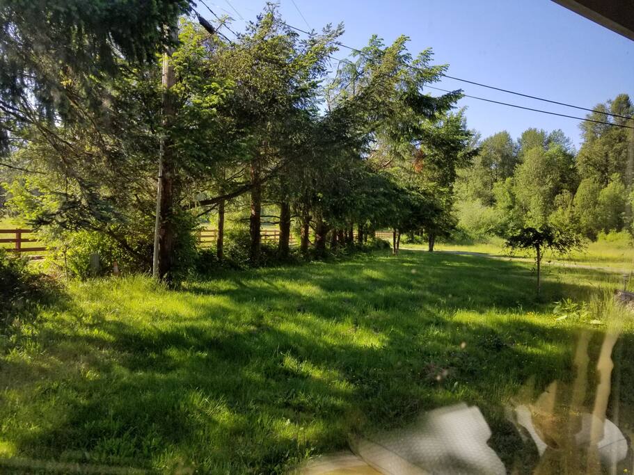 Yard around house and can see gold trail on side.