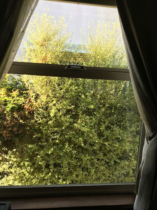 View from side window.