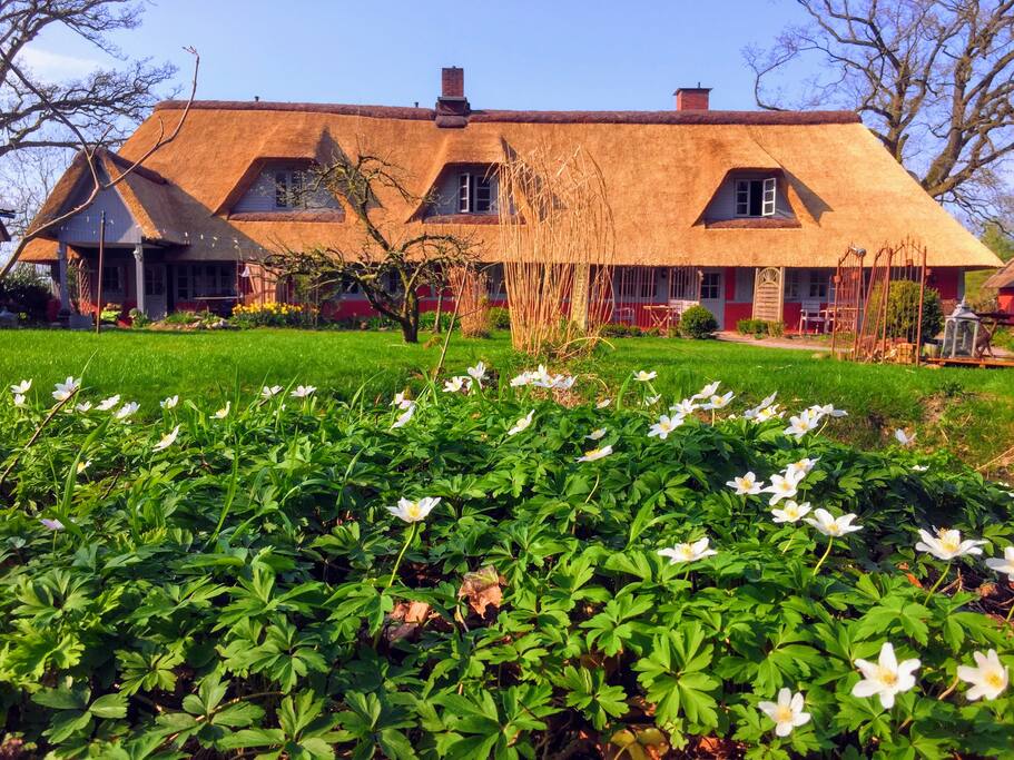 Single wohnung krems Wohnungen Krems Rehberg