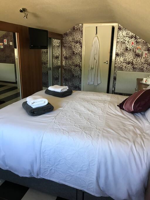 Double bedroom with television