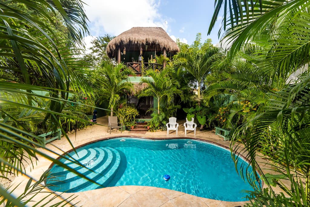 Gorgeous pool and botanical garden