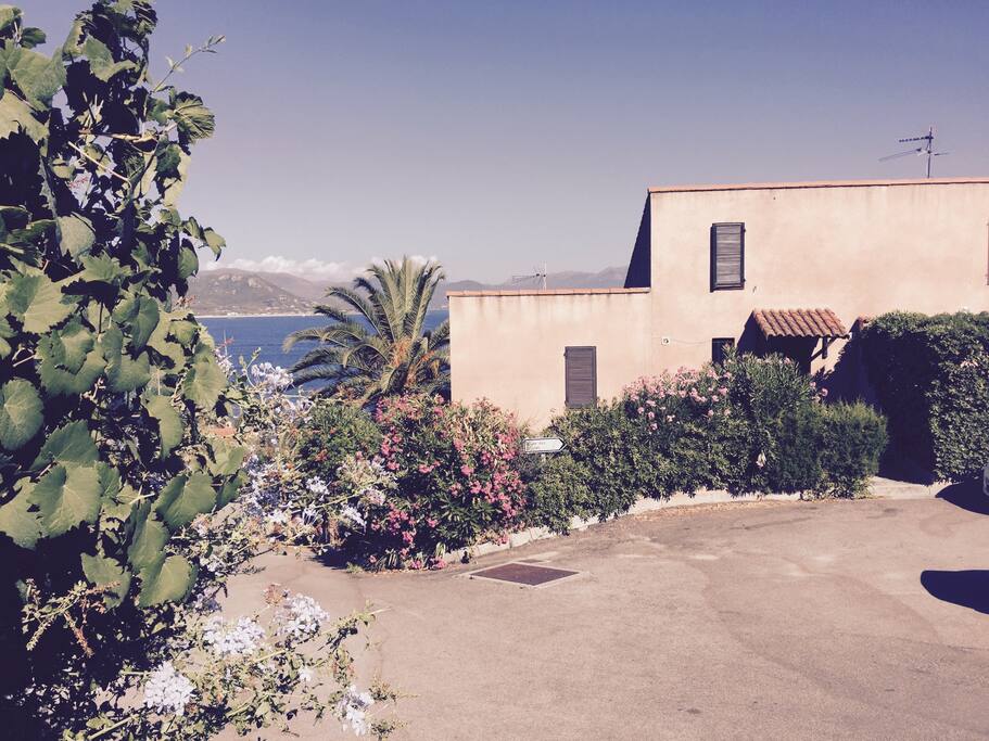 Vue du studio de derrière