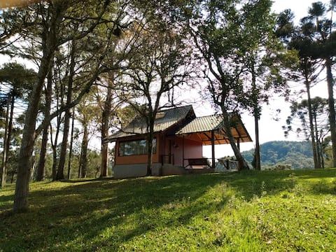 Fazenda Evaristo | 51 - Luxury Cabana