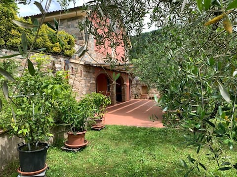 The little house at the washhouse
