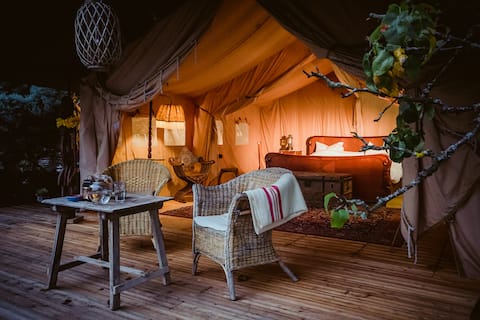 Erfolgreiche Airbnb-Immobilie: Mosel Glamping in Traben Trarbach