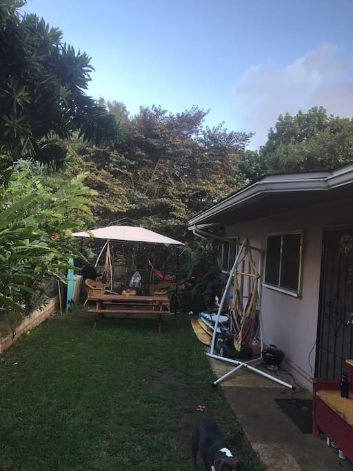 View of the mellow back yard for guest to enjoy and the yard and room.