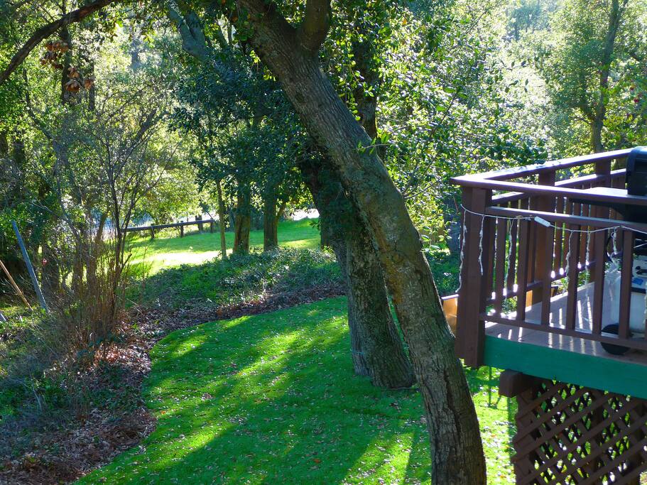 View of Forest and our Secret Garden area from Private backyard Deck.