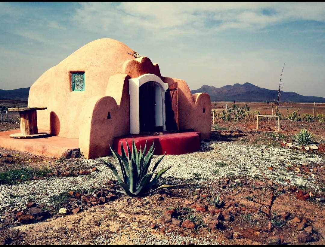 Არქიტექტურა და ბუნება: შეკრული