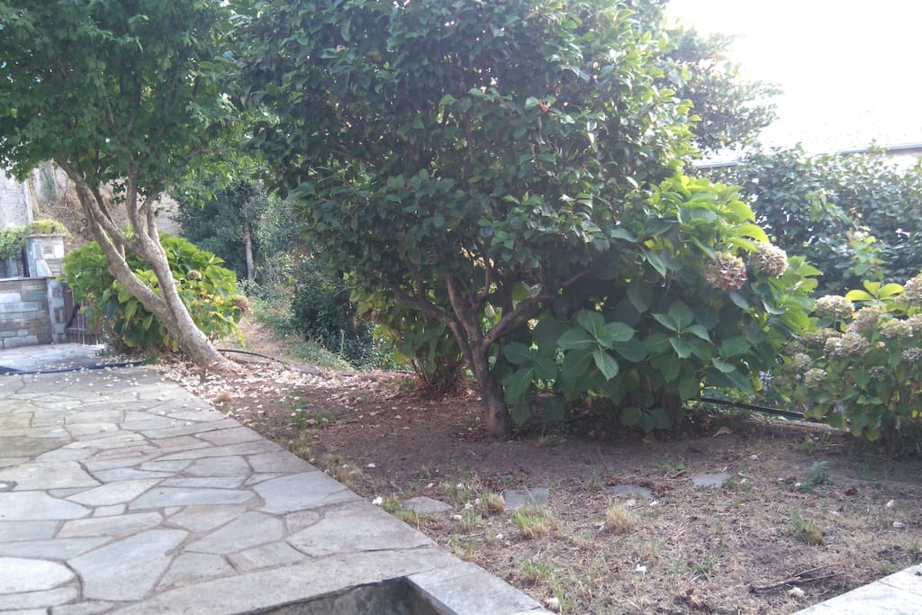 Rock path around the house
