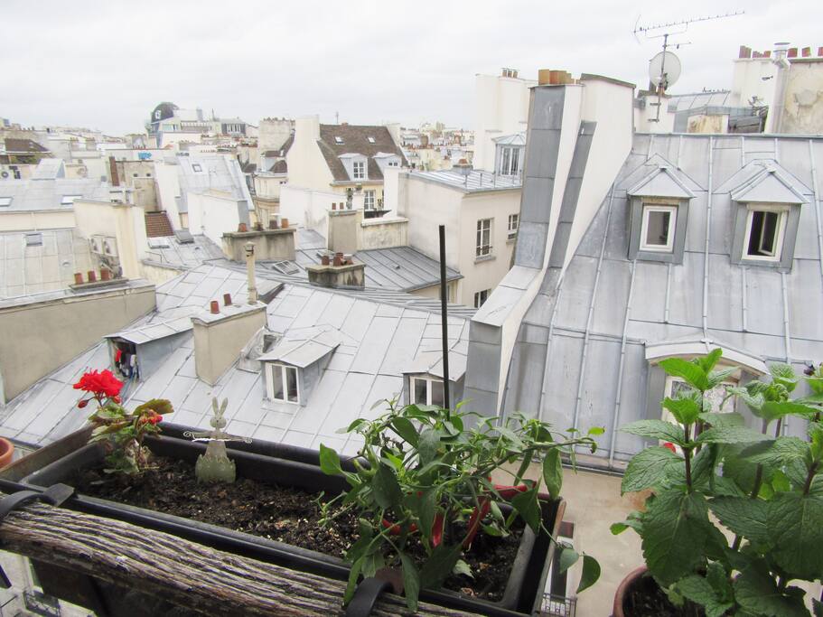 View from the living room