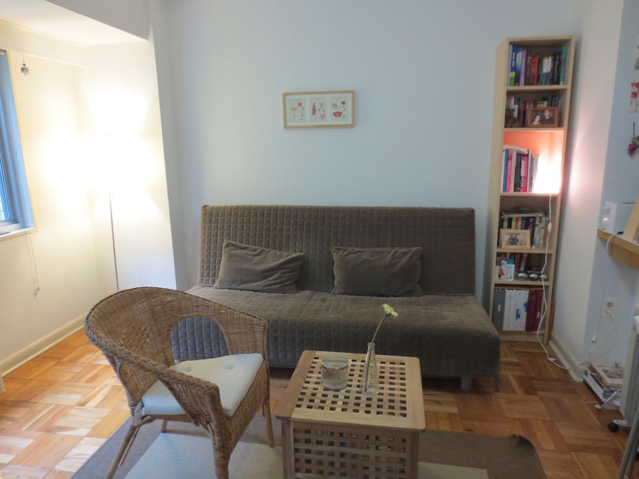 This sofa bed becomes a very comfortable queen size bed when opened.