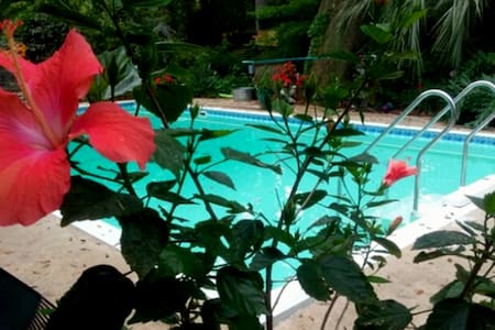 Suz~EnSuite Cozy Close-in Pool Kitchenette Private