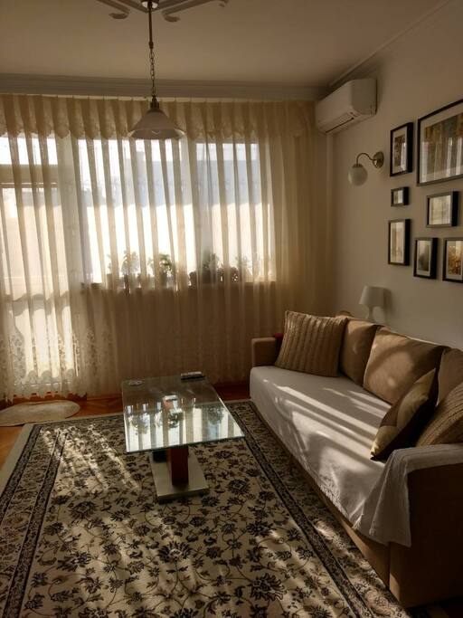 The living room couch opens to become a comfy bed that sleeps 2