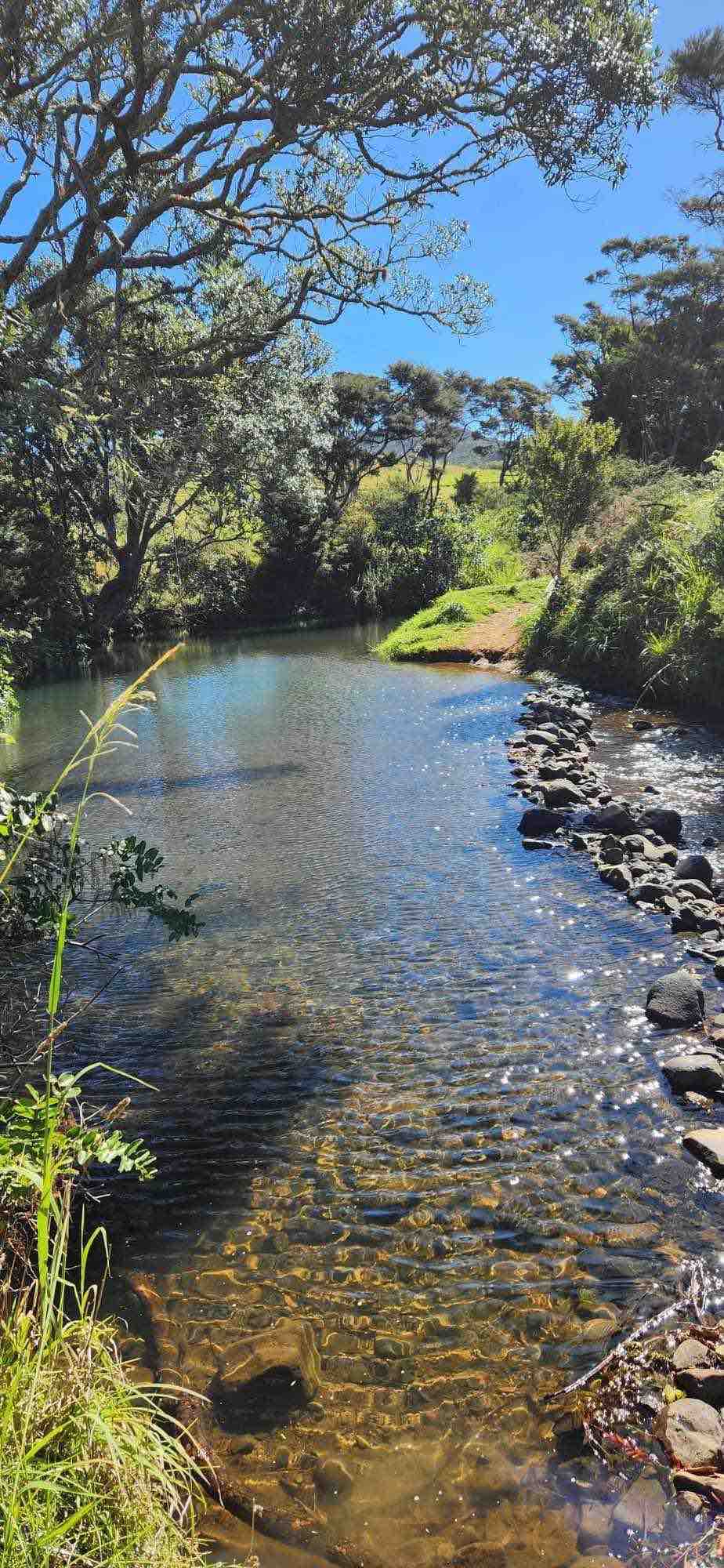 TePunga fresh water stream beside the house at New Chums in Whangapoua