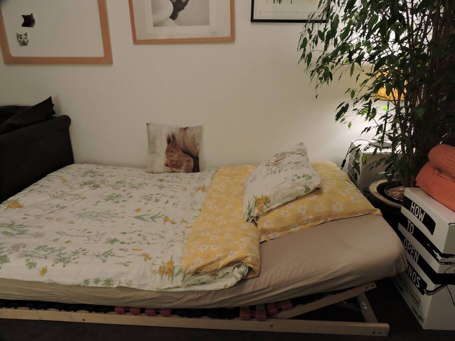cosy sleeping and chillout corner