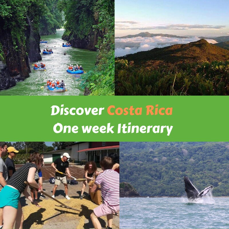 A vibrant collage showcases various activities in Costa Rica. The top left features rafts navigating a green river, with lush vegetation surrounding the water. The top right displays expansive mountain views beneath a blue sky. The bottom left depicts a group engaged in a workshop, while the bottom right captures a whale breaching the ocean's surface.