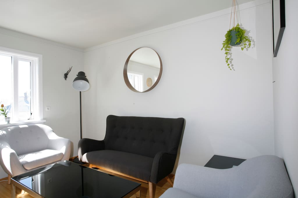 Living room / kitchen
