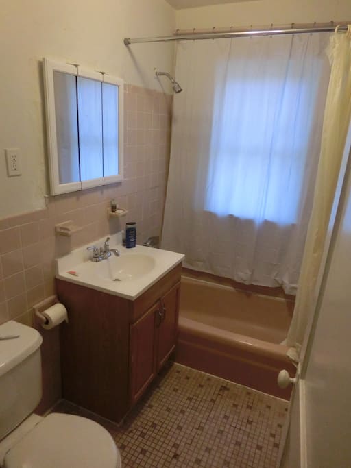 Bathroom shared with me (I will take care of the cleaning)