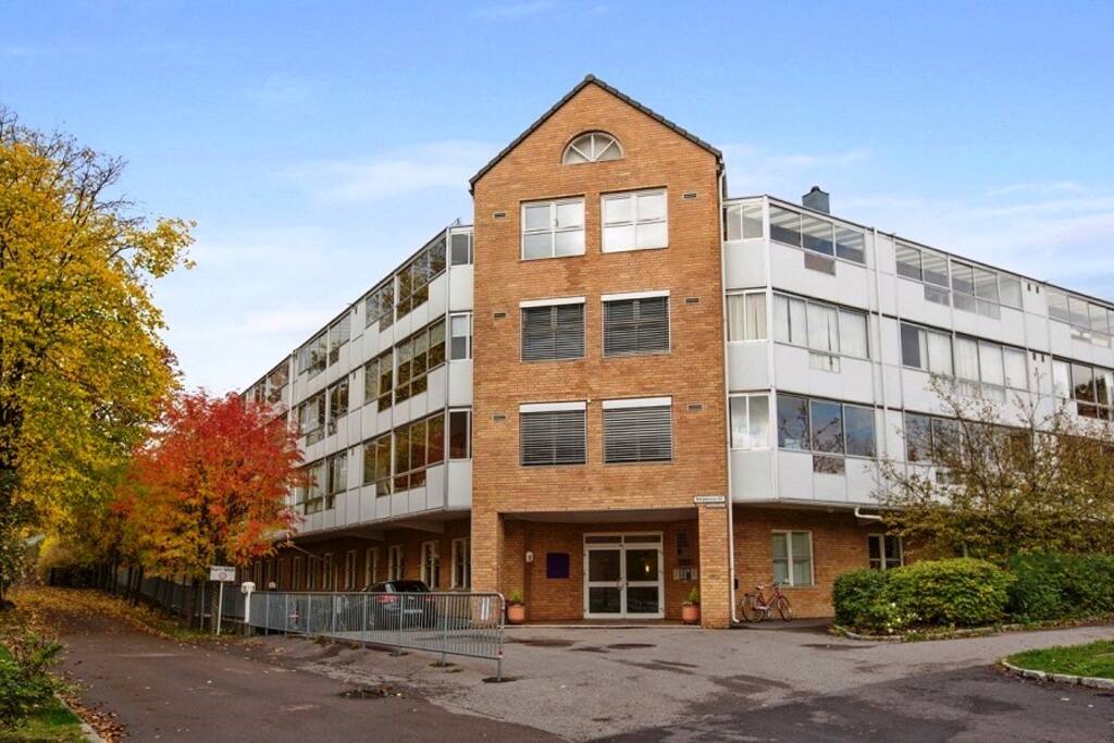 The building. We live on top floor