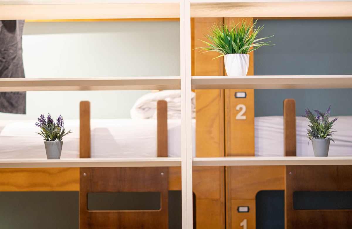 A well-organized shared sleeping area features wooden bunk beds with light bedding. Small potted plants are positioned on the shelves, adding a touch of greenery. Each bed is marked with its respective number, and a soft light illuminates the space.
