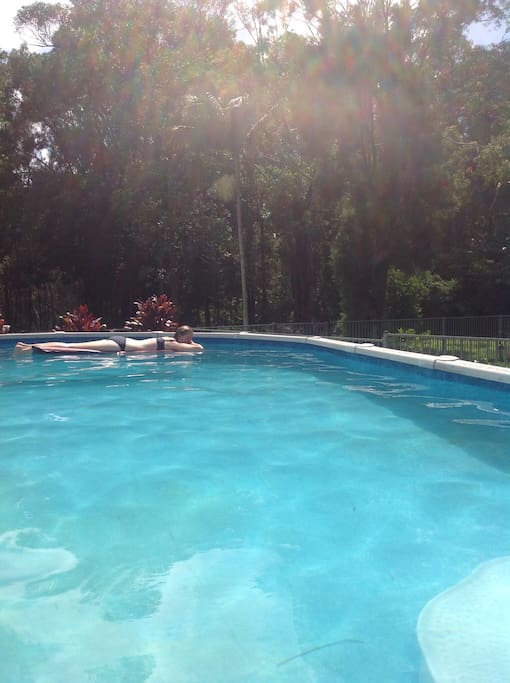 Large pool surrounded by forest and birdlife