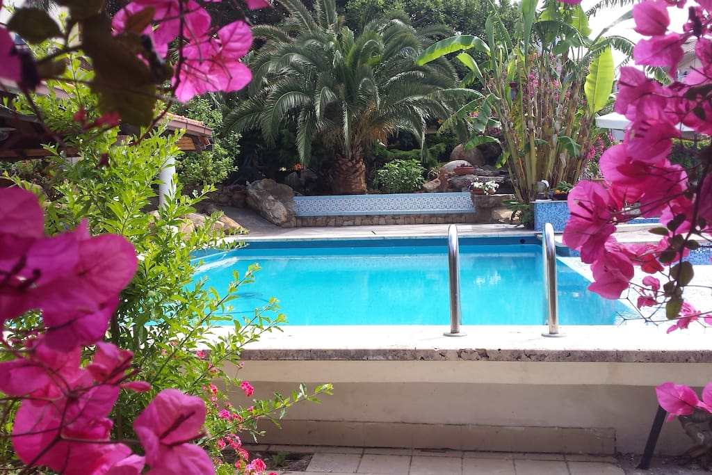 Vista Piscina Giardino