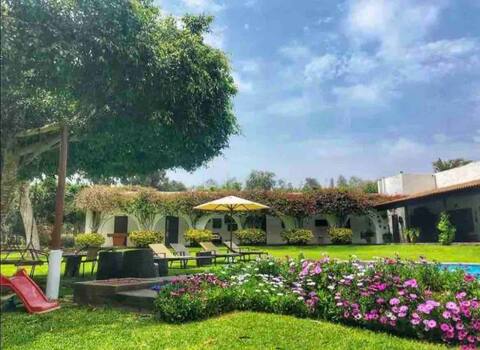 Hacienda Leon Dorado-Chilca