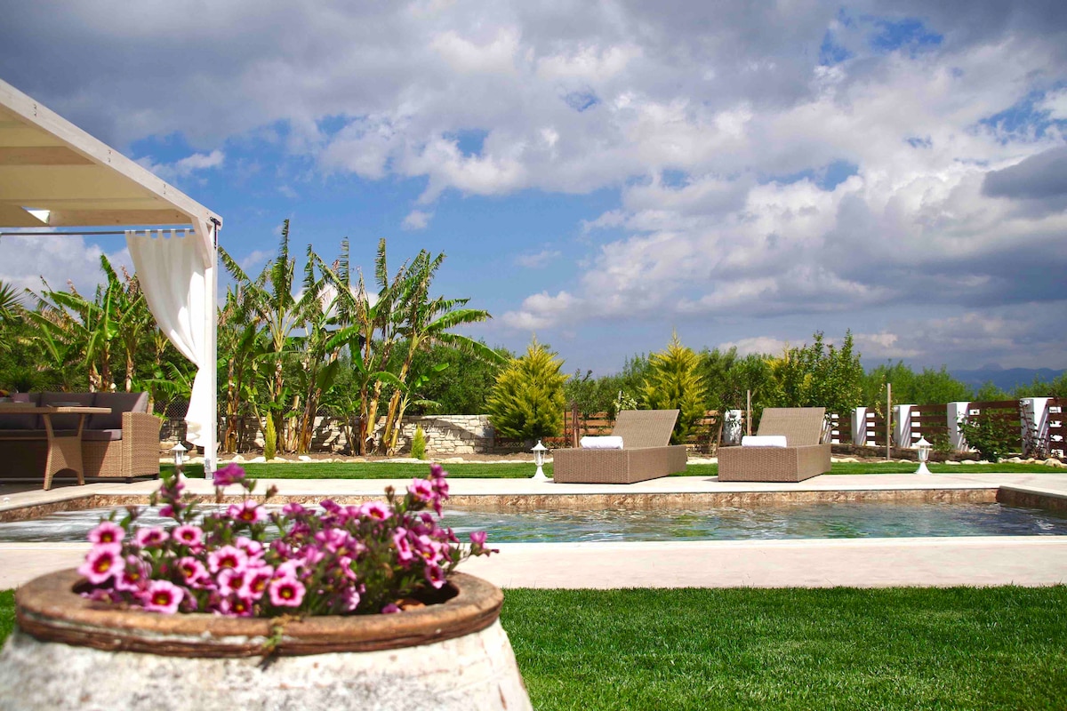 A refreshing swimming pool is surrounded by a spacious patio area. Comfortable lounge chairs are placed on the poolside, while banana trees and lush greenery provide a vibrant backdrop. A planter with blooming pink flowers adds a touch of color to the scene.