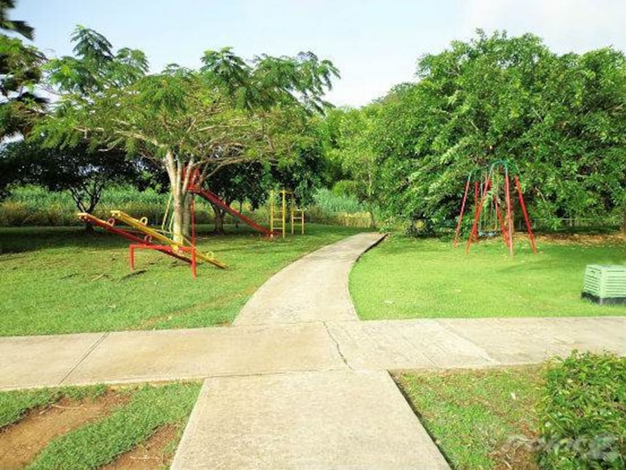Natural Surroundings