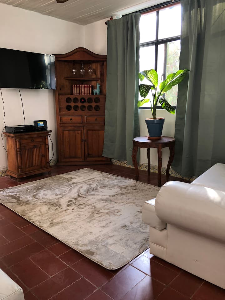Departamento Acogedor Con Terraza Privada - Guanajuato