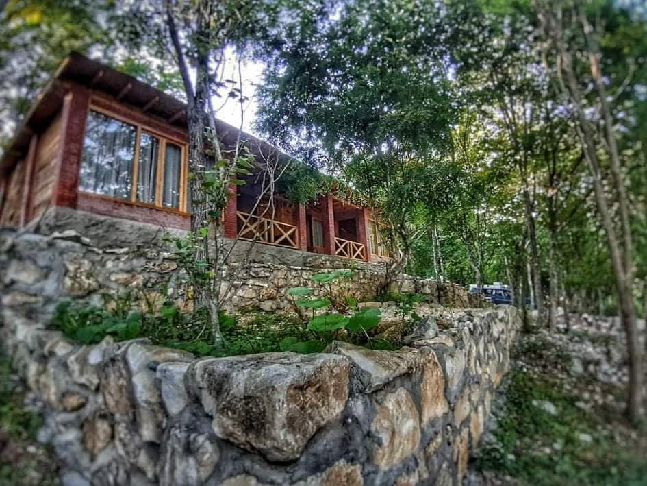 A wooden cottage is nestled among trees, featuring large windows that offer views of the surrounding nature. The structure is elevated on a stone foundation, with a pathway leading to the entrance. Lush greenery surrounds the property, enhancing the tranquil setting.