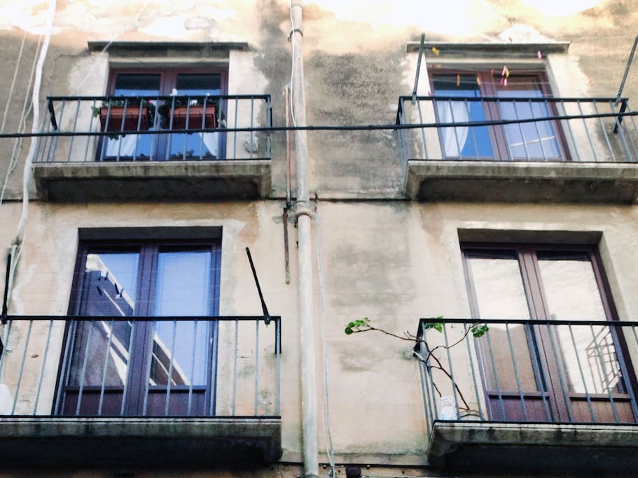 Prospetto con due balconi (in basso) del soggiorno e della camera da letto.