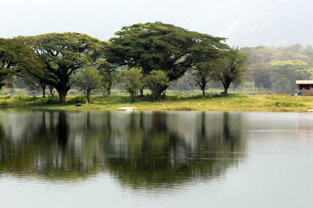 Nearby lake view