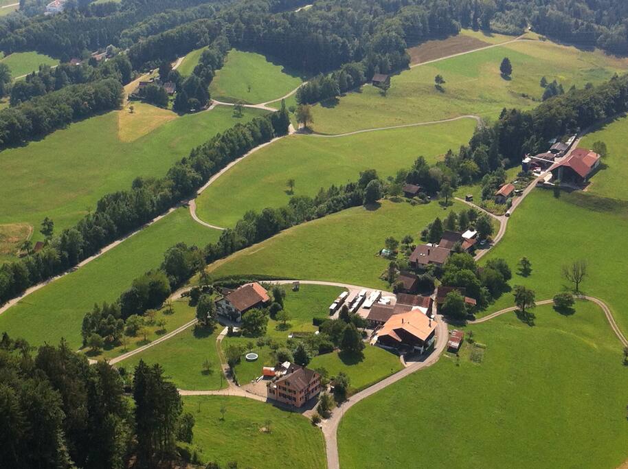 Aus der Vogelschau