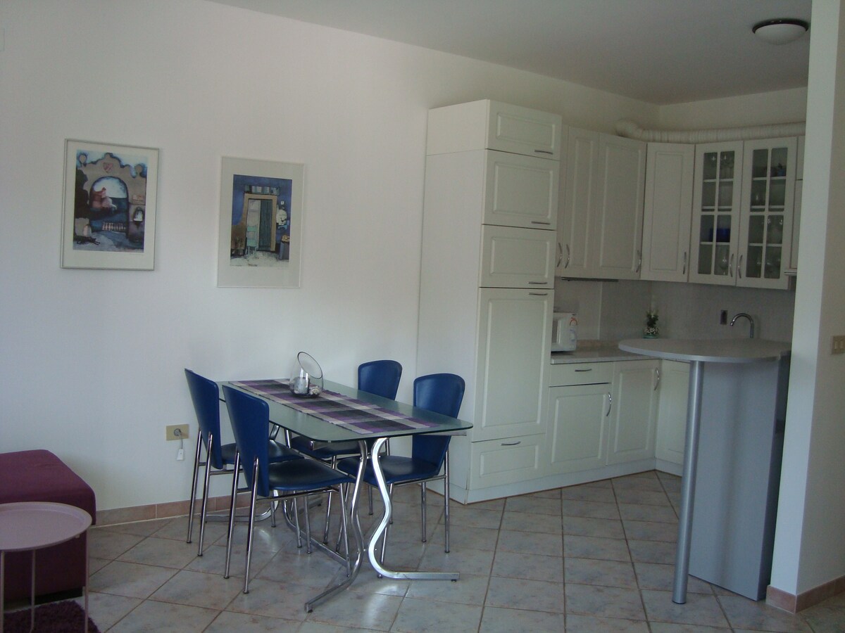 Apartment Carmen