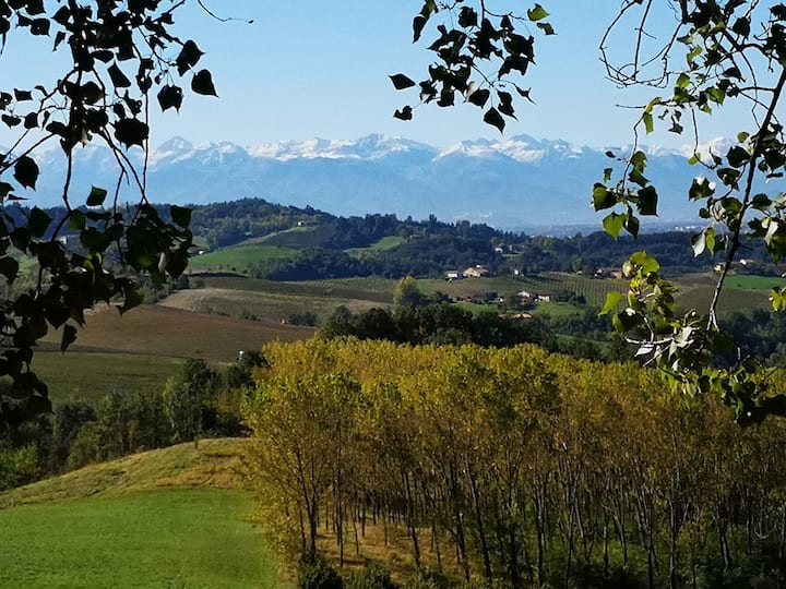 Il Piccolo Vigneto - Top Floor Apartment